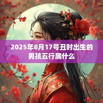 2025年8月17号丑时出生的男孩五行属什么