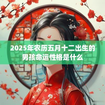 2025年农历五月十二出生的男孩命运性格是什么