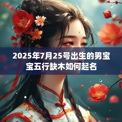 2025年7月25号出生的男宝宝五行缺木如何起名