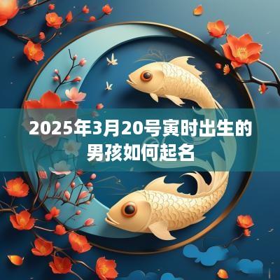 2025年3月20号寅时出生的男孩如何起名