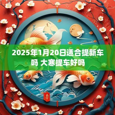 2025年1月20日适合提新车吗 大寒提车好吗