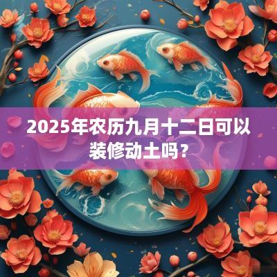 2025年农历九月十二日可以装修动土吗？