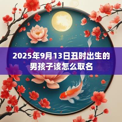 2025年9月13日丑时出生的男孩子该怎么取名