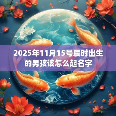 2025年11月15号辰时出生的男孩该怎么起名字