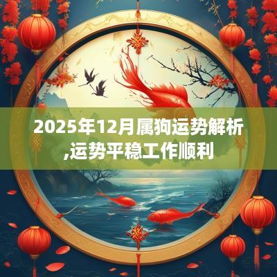 2025年12月属狗运势解析,运势平稳工作顺利