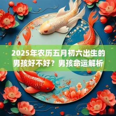 2025年农历五月初六出生的男孩好不好？男孩命运解析