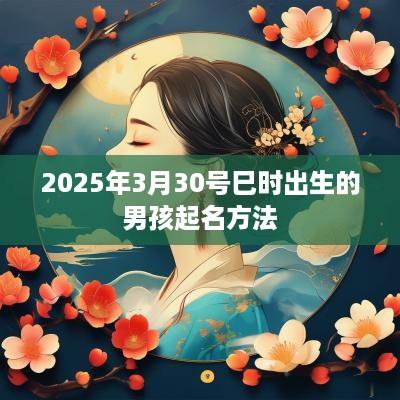 2025年3月30号巳时出生的男孩起名方法