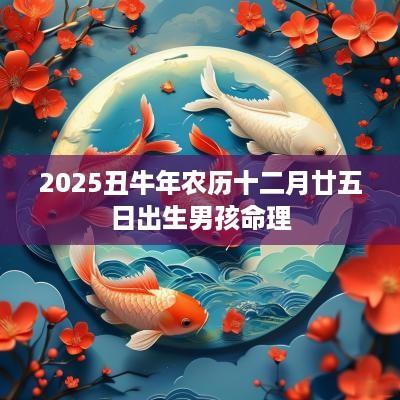 2025丑蛇年农历十二月廿五日出生男孩命理