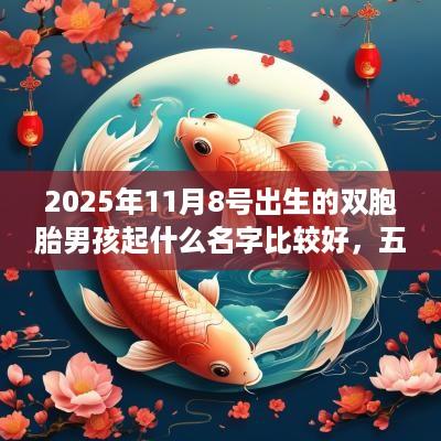 2025年11月8号出生的双胞胎男孩起什么名字比较好，五行属什么