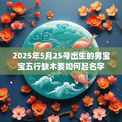 2025年5月25号出生的男宝宝五行缺木要如何起名字