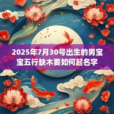 2025年7月30号出生的男宝宝五行缺木要如何起名字