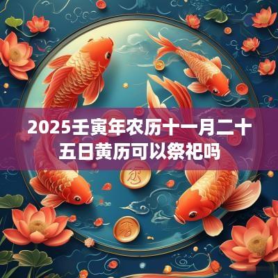 2025壬寅年农历十一月二十五日黄历可以祭祀吗