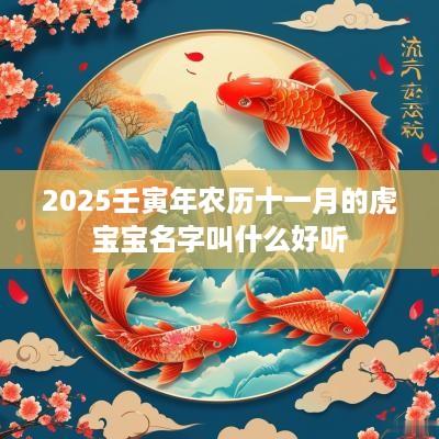 2025壬寅年农历十一月的虎宝宝名字叫什么好听