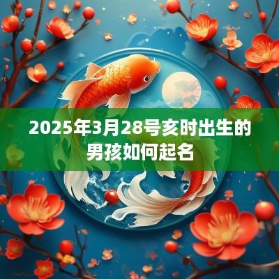 2025年3月28号亥时出生的男孩如何起名