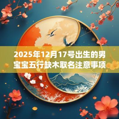 2025年12月17号出生的男宝宝五行缺木取名注意事项