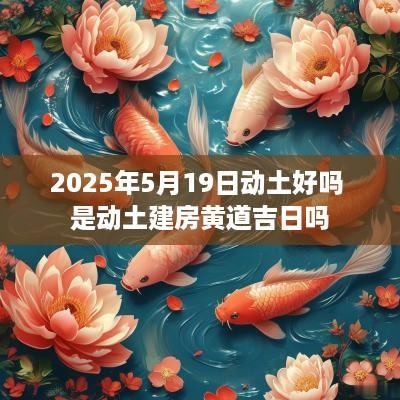 2025年5月19日动土好吗 是动土建房黄道吉日吗