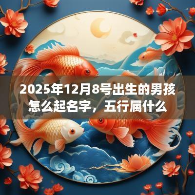 2025年12月8号出生的男孩怎么起名字，五行属什么