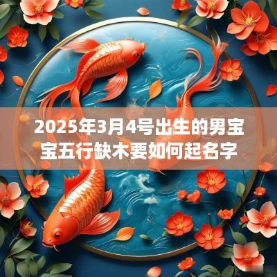 2025年3月4号出生的男宝宝五行缺木要如何起名字
