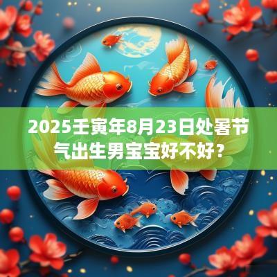 2025壬寅年8月23日处暑节气出生男宝宝好不好？