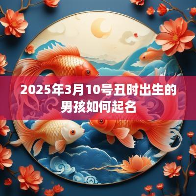 2025年3月10号丑时出生的男孩如何起名