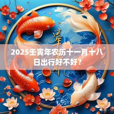 2025壬寅年农历十一月十八日出行好不好？