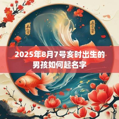 2025年8月7号亥时出生的男孩如何起名字