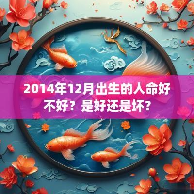 2014年12月出生的人命好不好？是好还是坏？