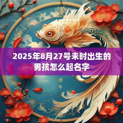 2025年8月27号未时出生的男孩怎么起名字