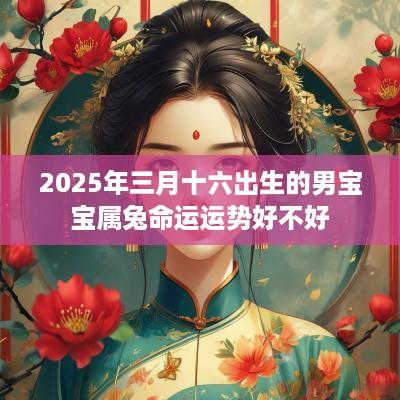2025年三月十六出生的男宝宝属兔命运运势好不好