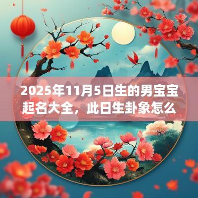 2025年11月5日生的男宝宝起名大全，此日生卦象怎么样？