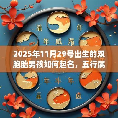 2025年11月29号出生的双胞胎男孩如何起名，五行属什么