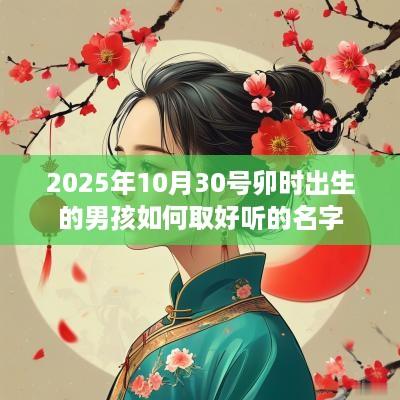2025年10月30号卯时出生的男孩如何取好听的名字