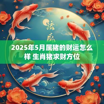 2025年5月属猪的财运怎么样 生肖猪求财方位