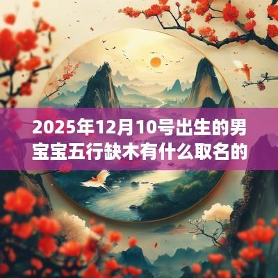 2025年12月10号出生的男宝宝五行缺木有什么取名的方法
