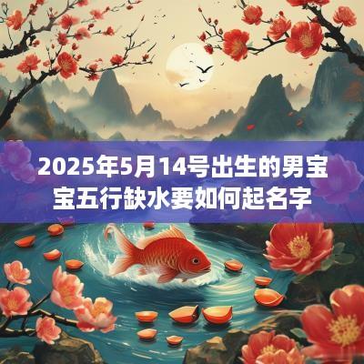 2025年5月14号出生的男宝宝五行缺水要如何起名字