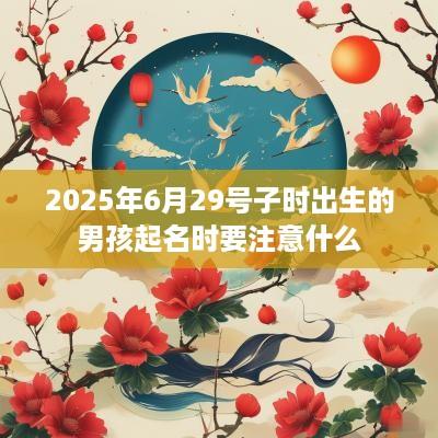 2025年6月29号子时出生的男孩起名时要注意什么