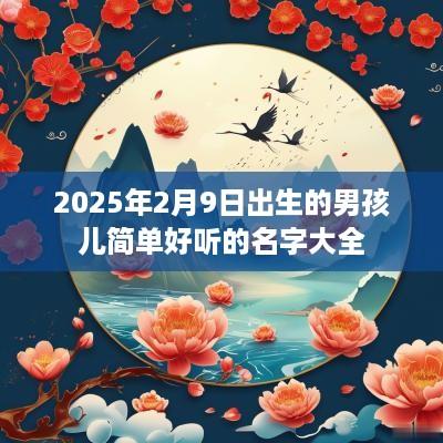 2025年2月9日出生的男孩儿简单好听的名字大全