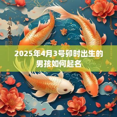 2025年4月3号卯时出生的男孩如何起名