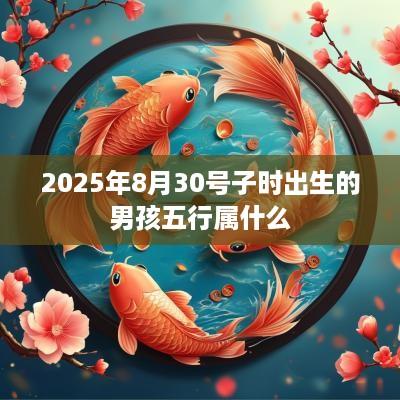 2025年8月30号子时出生的男孩五行属什么