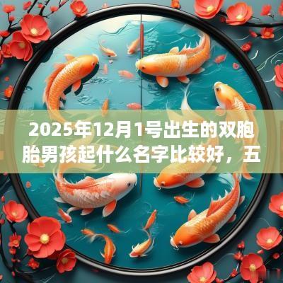 2025年12月1号出生的双胞胎男孩起什么名字比较好，五行属什么