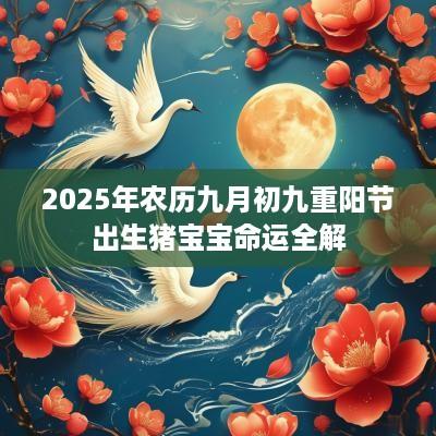 2025年农历九月初九重阳节出生猪宝宝命运全解