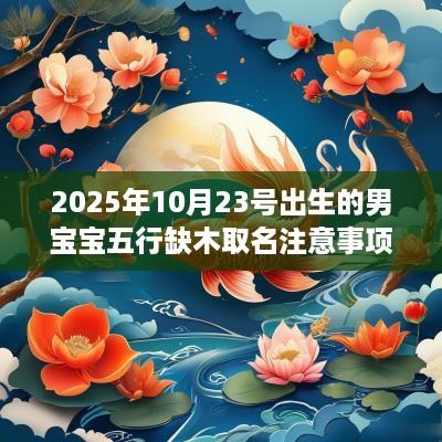 2025年10月23号出生的男宝宝五行缺木取名注意事项