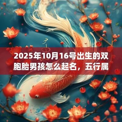 2025年10月16号出生的双胞胎男孩怎么起名，五行属什么