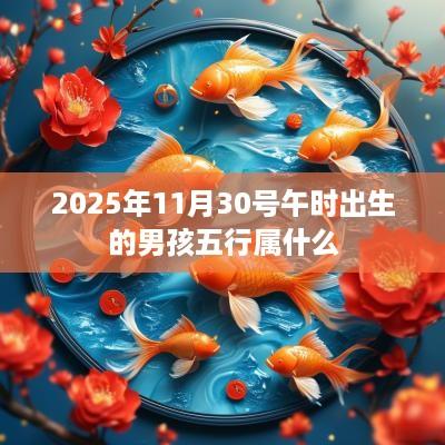 2025年11月30号午时出生的男孩五行属什么