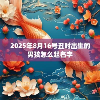 2025年8月16号丑时出生的男孩怎么起名字