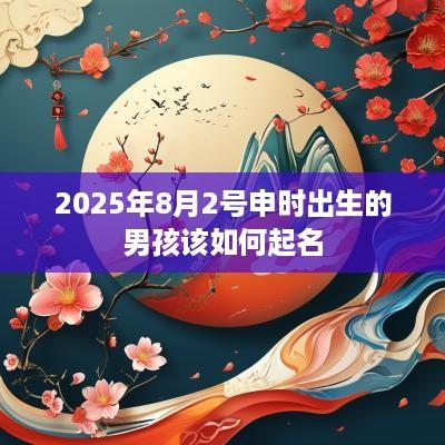 2025年8月2号申时出生的男孩该如何起名