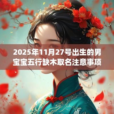 2025年11月27号出生的男宝宝五行缺木取名注意事项