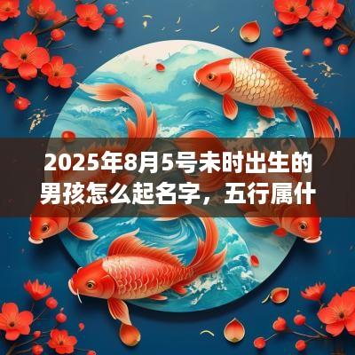 2025年8月5号未时出生的男孩怎么起名字，五行属什么