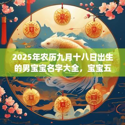 2025年农历九月十八日出生的男宝宝名字大全，宝宝五行起名