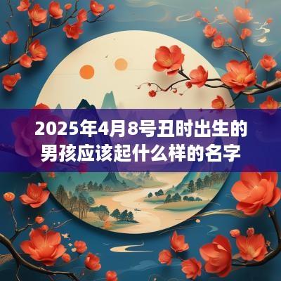 2025年4月8号丑时出生的男孩应该起什么样的名字